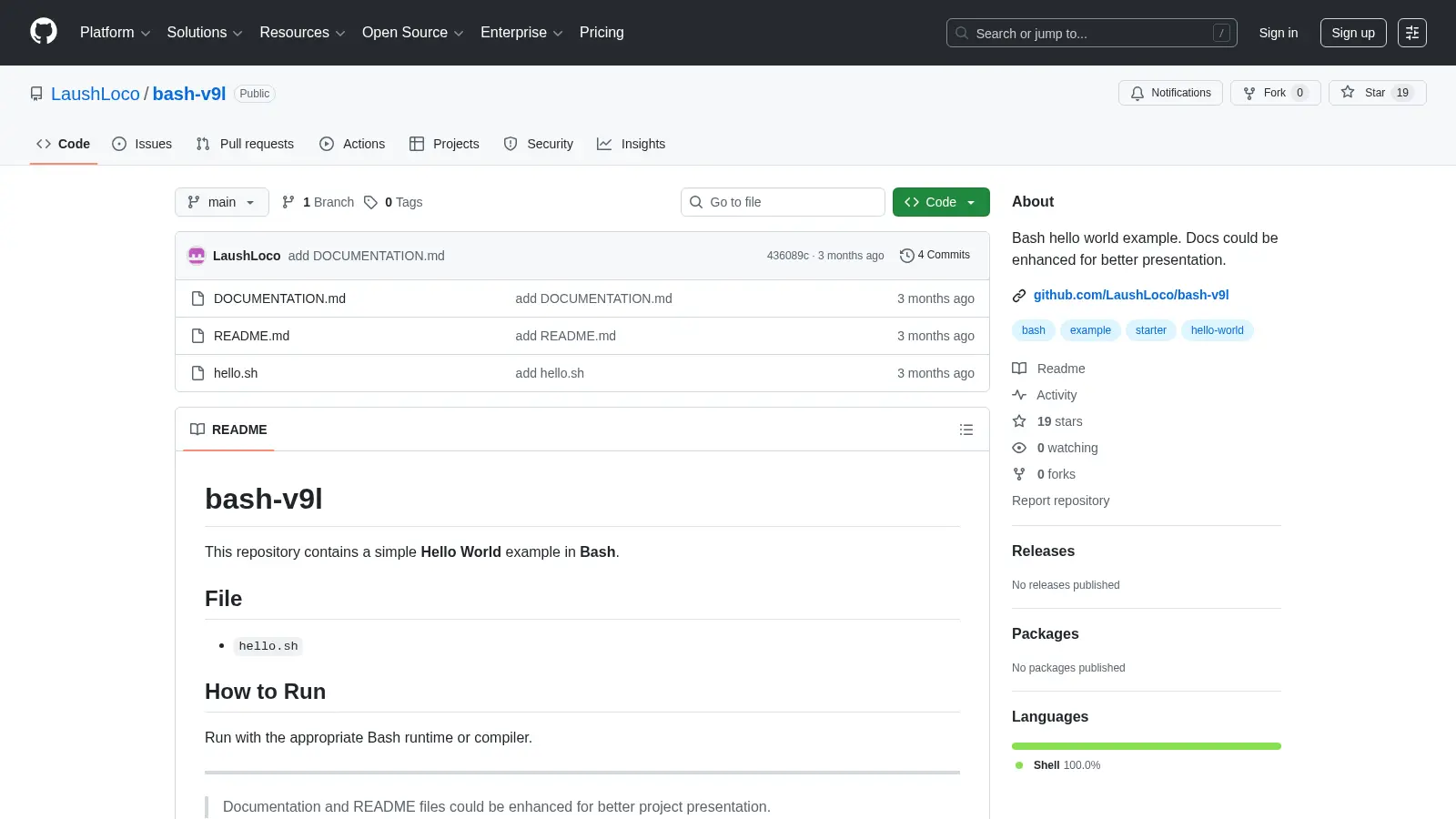 Bash V9l screenshot