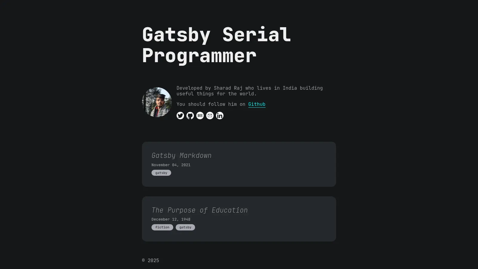 Gatsby Theme Serial Programmer screenshot