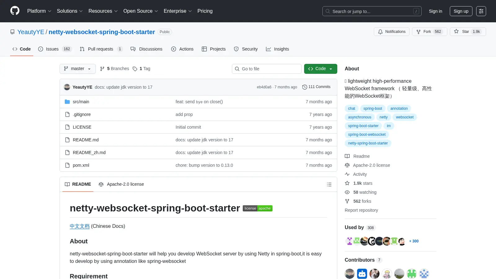 Netty Websocket Spring Boot Starter screenshot