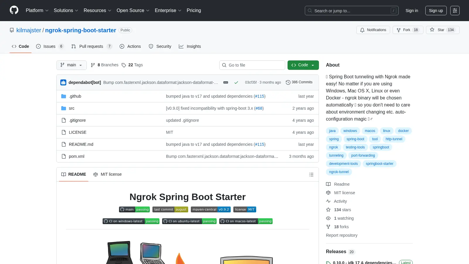 Ngrok Spring Boot Starter screenshot